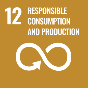 Hybrid potatoes are bred to be more productive, adapted to local conditions and disease-resistant. With hybrid potatoes, potato growers can produce more food with fewer resources, enabling a sustainable potato production with a reliable and consistent source of food for their communities.